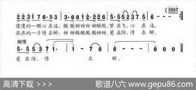 家乡的杏梅 - 朱积聚杨静程远|刘程远