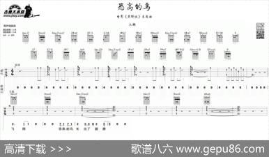 恐高的鸟（大鹏《煎饼侠》插曲）
