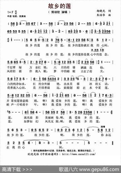 故乡的莲 - 杨晓光|朱培华