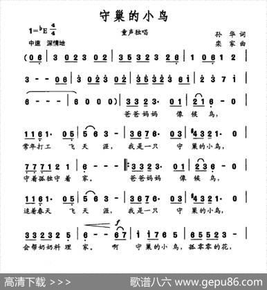 守巢的小鸟 - 孙华|栾家