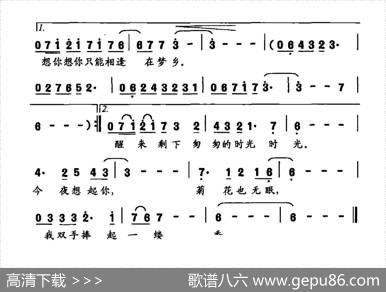 一缕菊香（仪而词叶崇昌曲） - 仪而|叶崇昌