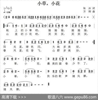 小草，小花 - 张冰|方翔