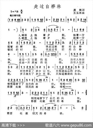 走过白桦林 - 晨枫|王玉西