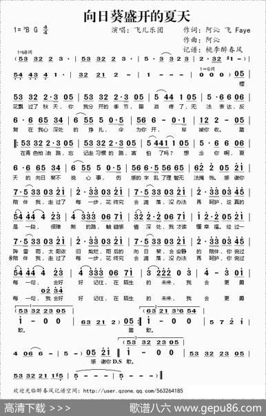 向日葵盛开的夏天