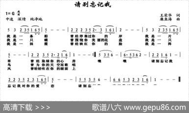 请别忘记我 - 王荣华|廉鱼海
