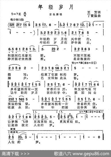 年轻岁月 - 王芳|丁留强