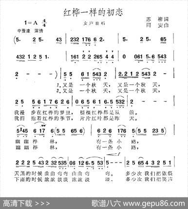 红桦一样的初恋 - 苏柳|同安