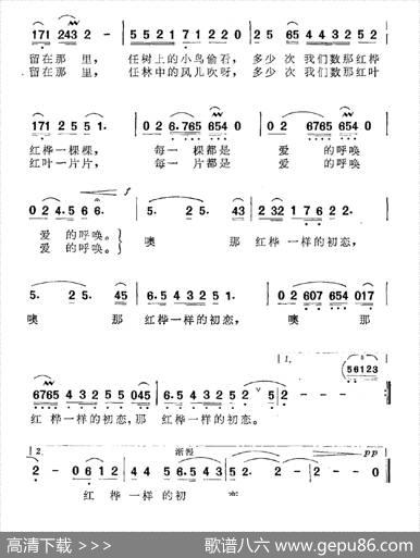 红桦一样的初恋 - 苏柳|同安