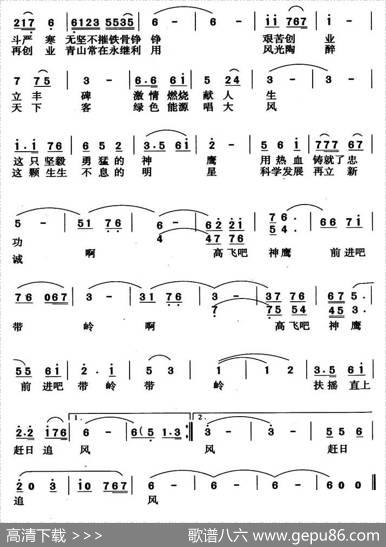 林海神鹰 - 张强张林|王光兴