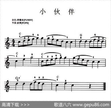 小伙伴