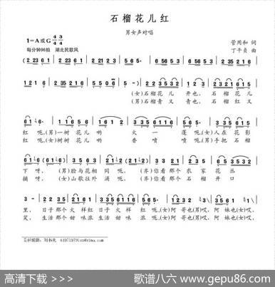 石榴花儿红 - 管用和|丁干贞