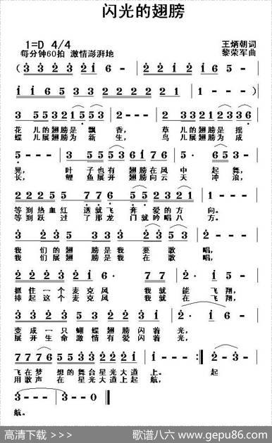 闪光的翅膀 - 王炳朝|黎荣军