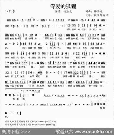 等爱的狐狸 - 杨浩龙|杨浩龙