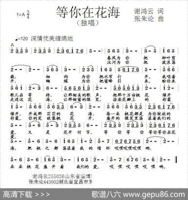 等你在花海（谢鸿云词张朱论曲） - 谢鸿云|张朱论
