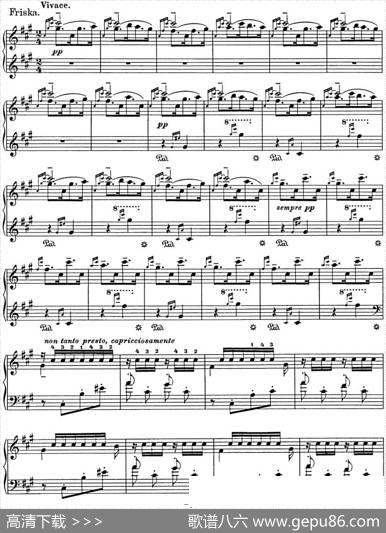 李斯特匈牙利狂想曲HungarianRhapsodiesS.244No.2|李斯特