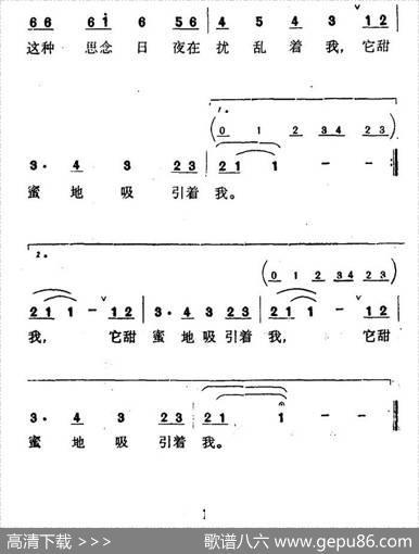 [孟加拉]道路
