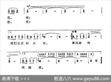 歌儿飞到北京去