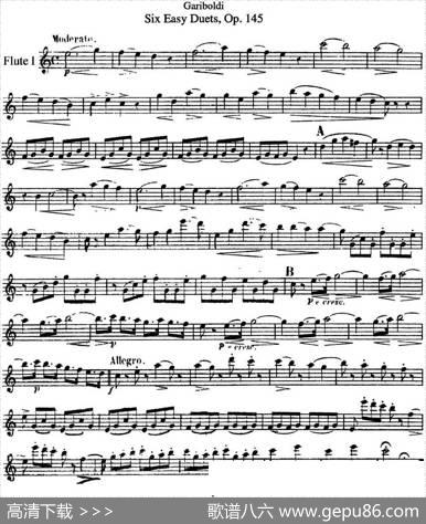 六首简易二重奏作品145号|Garibold（加里波第）