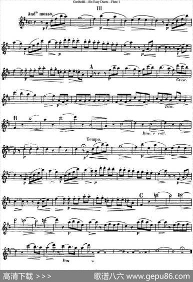 六首简易二重奏作品145号|Garibold（加里波第）