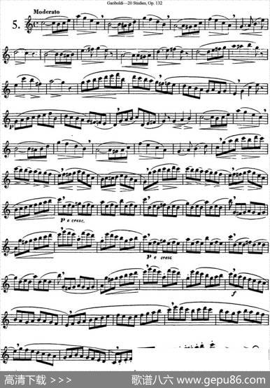 二十首练习曲作品132号之5|Garibold（加里波第）