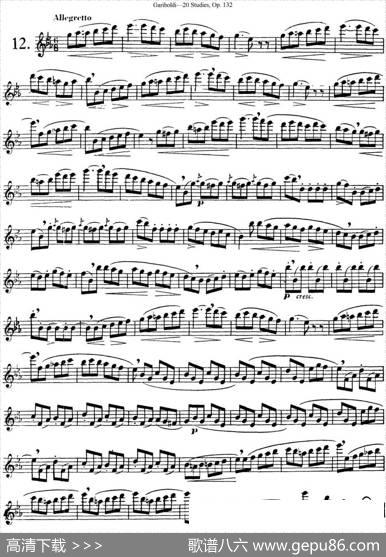 二十首练习曲作品132号之12|Garibold（加里波第）