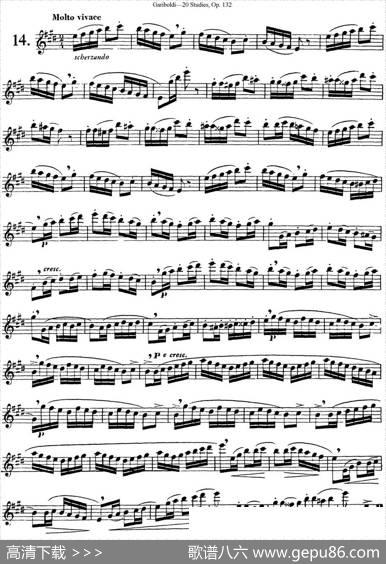 二十首练习曲作品132号之14|Garibold（加里波第）