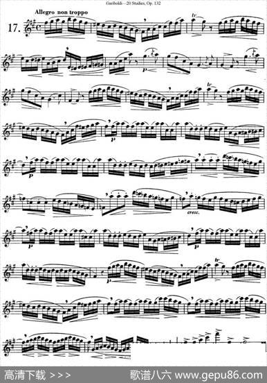 二十首练习曲作品132号之17|Garibold（加里波第）
