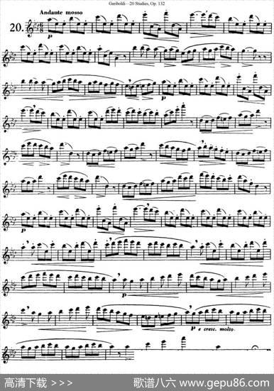 二十首练习曲作品132号之20|Garibold（加里波第）