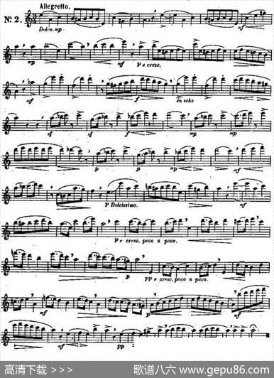 二十首练习曲作品131号（NO.2）|Garibold（加里波第）