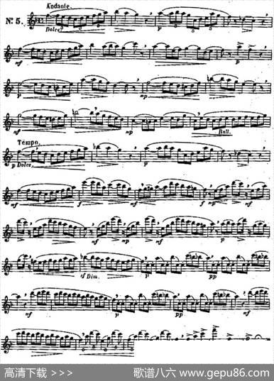 二十首练习曲作品131号（NO.5）|Garibold（加里波第）