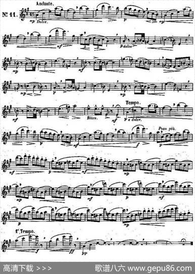二十首练习曲作品131号（NO.11）|Garibold（加里波第）