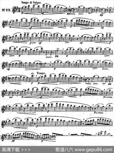 二十首练习曲作品131号（NO.12）|Garibold（加里波第）