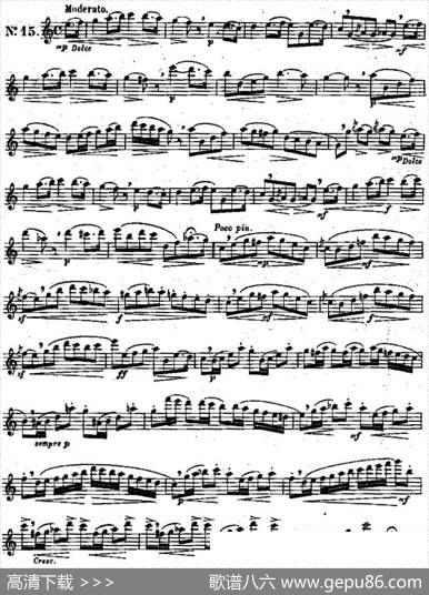 二十首练习曲作品131号（NO.15）|Garibold（加里波第）