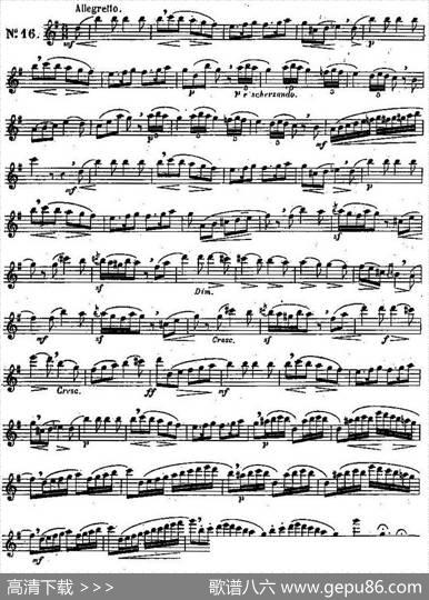 二十首练习曲作品131号（NO.16）|Garibold（加里波第）