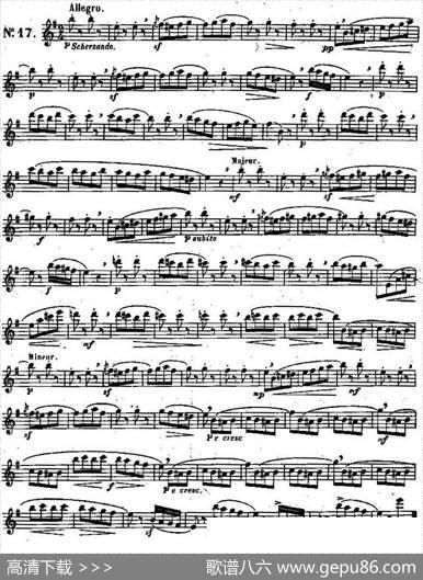 二十首练习曲作品131号（NO.17）|Garibold（加里波第）