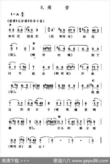痛苦（新疆伊犁维吾尔民歌第十套《瓦黛里哈》）