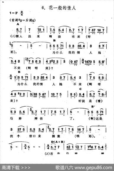 花一般的情人（新疆伊犁维吾尔民歌第十套《瓦黛里哈》）