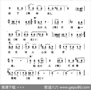 花一般的情人（新疆伊犁维吾尔民歌第十套《瓦黛里哈》）