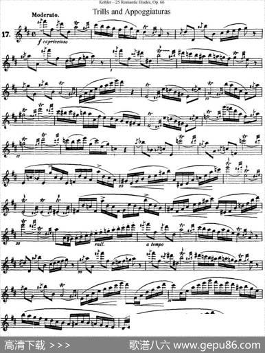 25首浪漫练习曲作品66号（NO.17）|Kohler（柯勒）