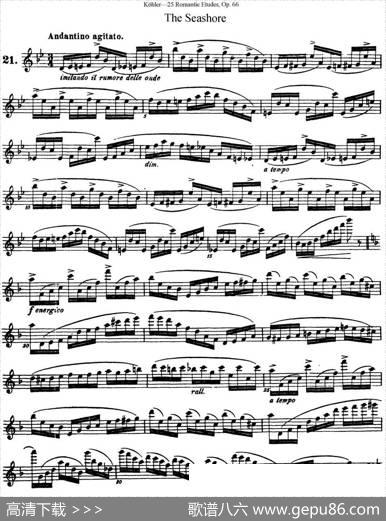 25首浪漫练习曲作品66号（NO.21）|Kohler（柯勒）