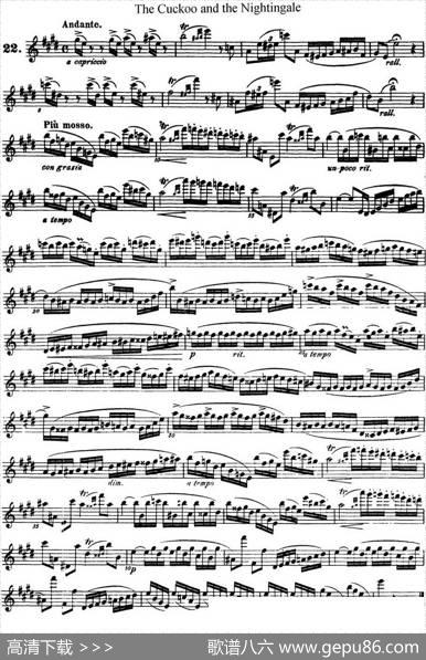 柯勒25首浪漫长笛练习曲作品66号（NO.22）|Kohler（柯勒）