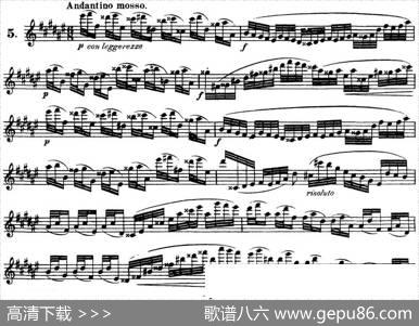 柯勒30首高级长笛练习曲作品75号（NO.5）|Kohler（柯勒）