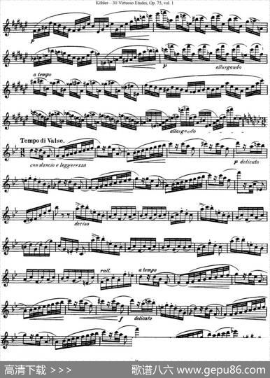 柯勒30首高级长笛练习曲作品75号（NO.5）|Kohler（柯勒）