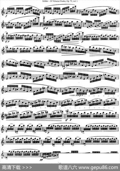 柯勒30首高级长笛练习曲作品75号（NO.6）|Kohler（柯勒）