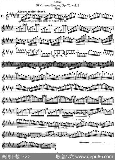 柯勒30首高级长笛练习曲作品75号（NO.11）|Kohler（柯勒）