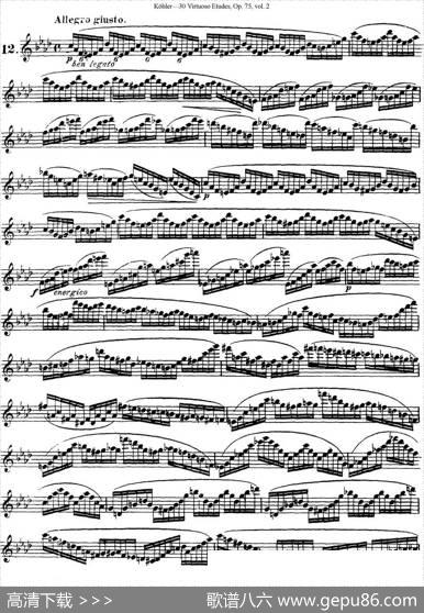 柯勒30首高级长笛练习曲作品75号（NO.12）|Kohler(柯勒)