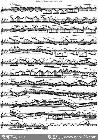 柯勒30首高级长笛练习曲作品75号（NO.12）|Kohler(柯勒)