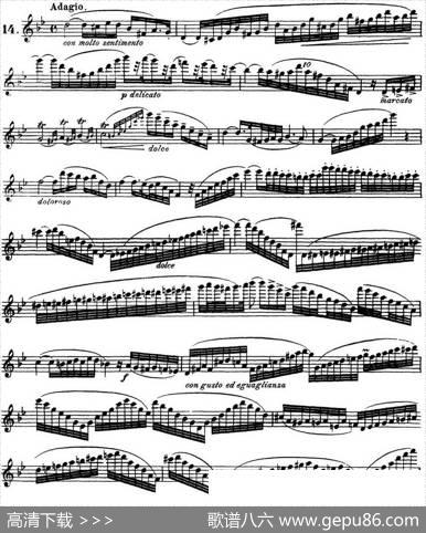柯勒30首高级长笛练习曲作品75号（NO.14）|Kohler(柯勒)