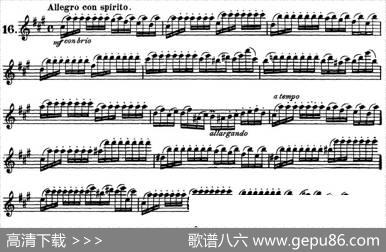 柯勒30首高级长笛练习曲作品75号（NO.16）|Kohler(柯勒)