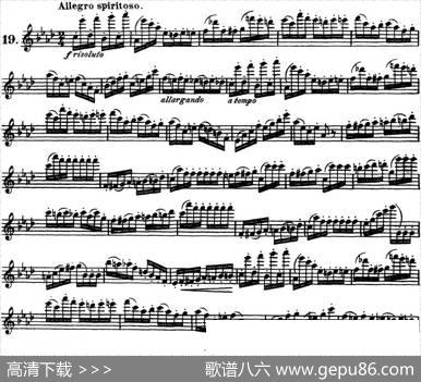 柯勒30首高级长笛练习曲作品75号（NO.19）|Kohler(柯勒)